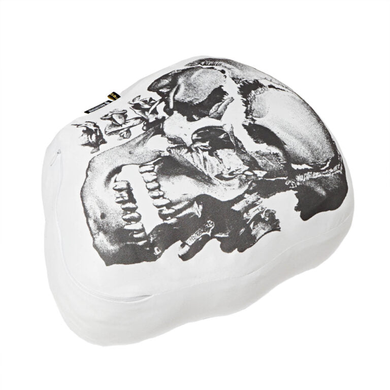 【BALLISTICS】SKULL CUSHION (BAA-2318)