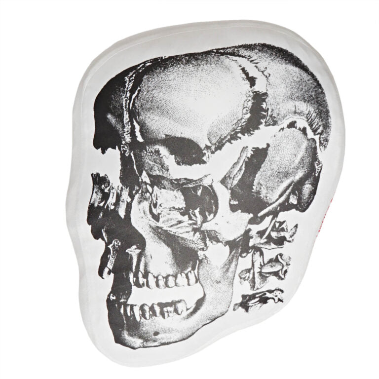 【BALLISTICS】SKULL CUSHION (BAA-2318)