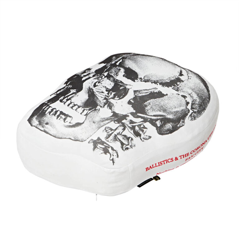 【BALLISTICS】SKULL CUSHION (BAA-2318)
