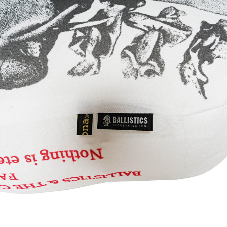 【BALLISTICS】SKULL CUSHION (BAA-2318)