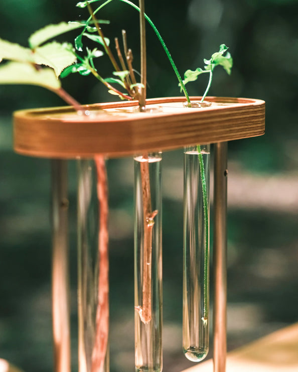 【THE CORE OF THINGS】C/T planter