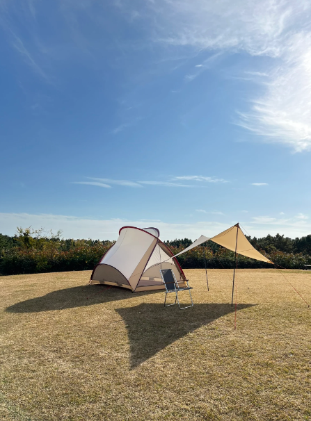 【MOSS TENTS】 THE ENCORE