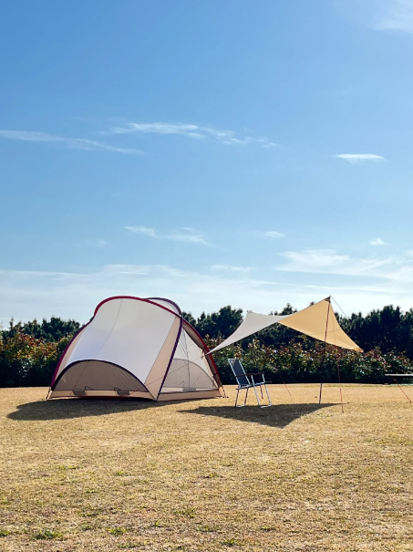 【MOSS TENTS】 THE ENCORE
