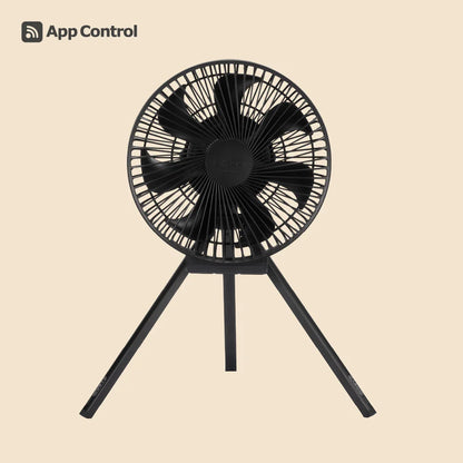 【CARGO CONTAINER】DUAL FAN - L