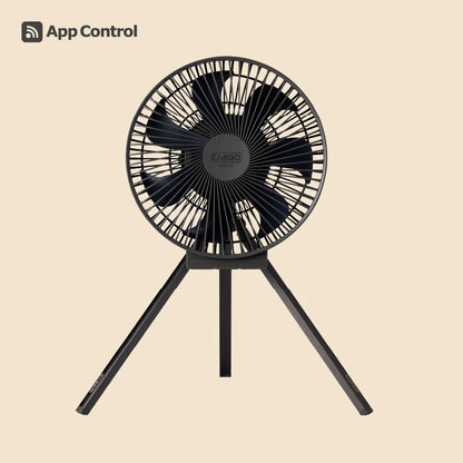 【CARGO CONTAINER】DUAL FAN - L