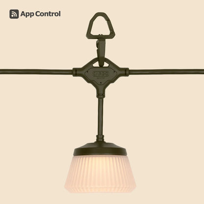 【CARGO CONTAINER】SHINE STRING LIGHT 7