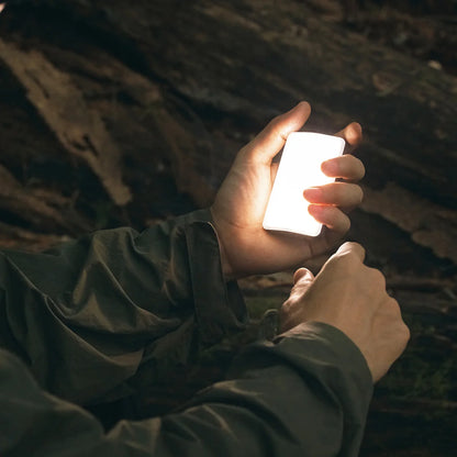 【CARGO CONTAINER】CC SLIM LIGHT MINI