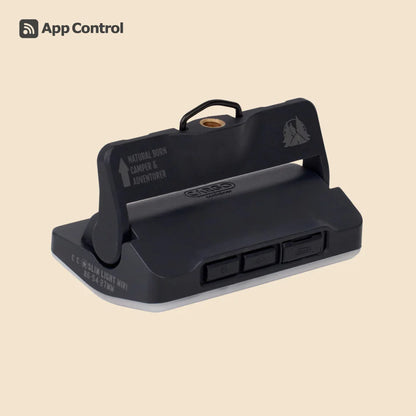 【CARGO CONTAINER】CC SLIM LIGHT MINI