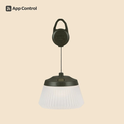 【CARGO CONTAINER】REEL LIGHT PRO