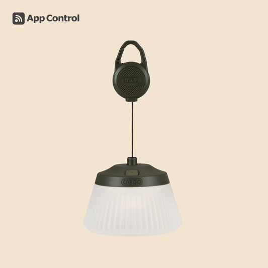 【CARGO CONTAINER】REEL LIGHT PRO