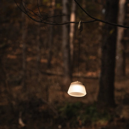 【CARGO CONTAINER】REEL LIGHT PRO