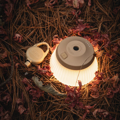 【CARGO CONTAINER】REEL LIGHT PRO