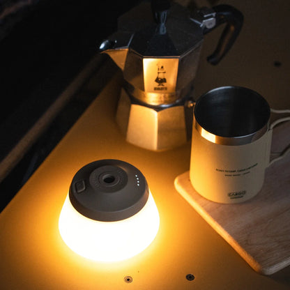 【CARGO CONTAINER】REEL LIGHT PRO