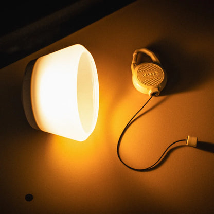 【CARGO CONTAINER】REEL LIGHT PRO