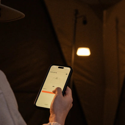 【CARGO CONTAINER】REEL LIGHT PRO