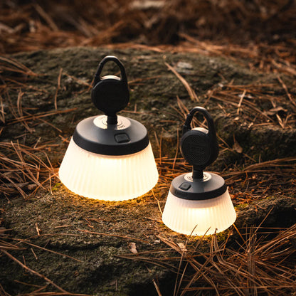 【CARGO CONTAINER】REEL LIGHT PRO