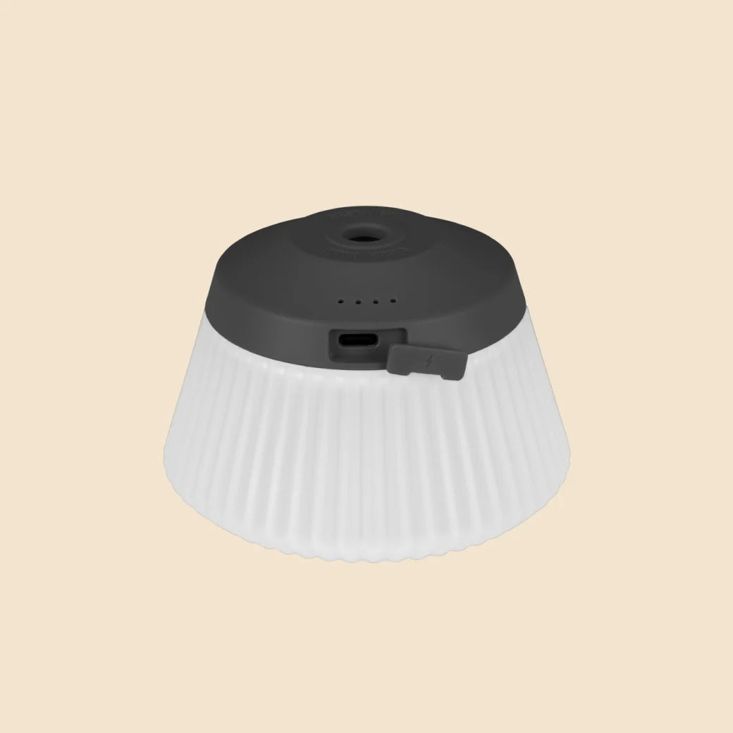 【CARGO CONTAINER】REEL LIGHT PRO
