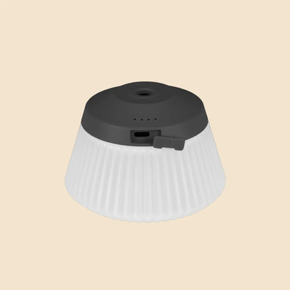 【CARGO CONTAINER】REEL LIGHT PRO