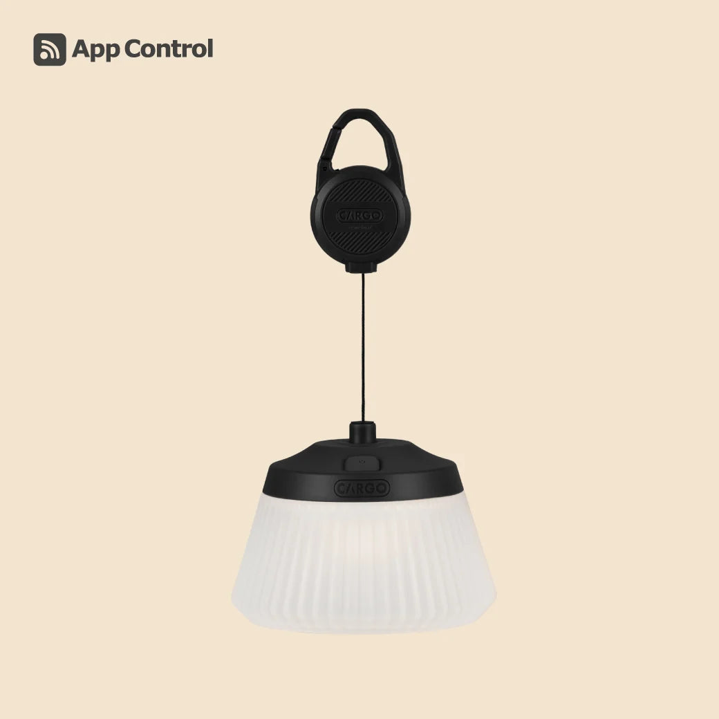【CARGO CONTAINER】REEL LIGHT PRO