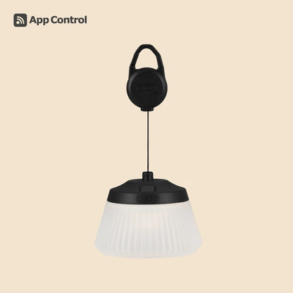 【CARGO CONTAINER】REEL LIGHT PRO