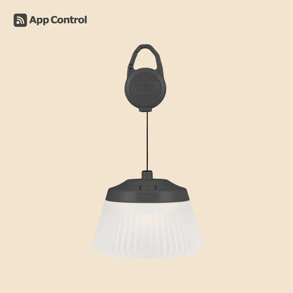 【CARGO CONTAINER】REEL LIGHT PRO